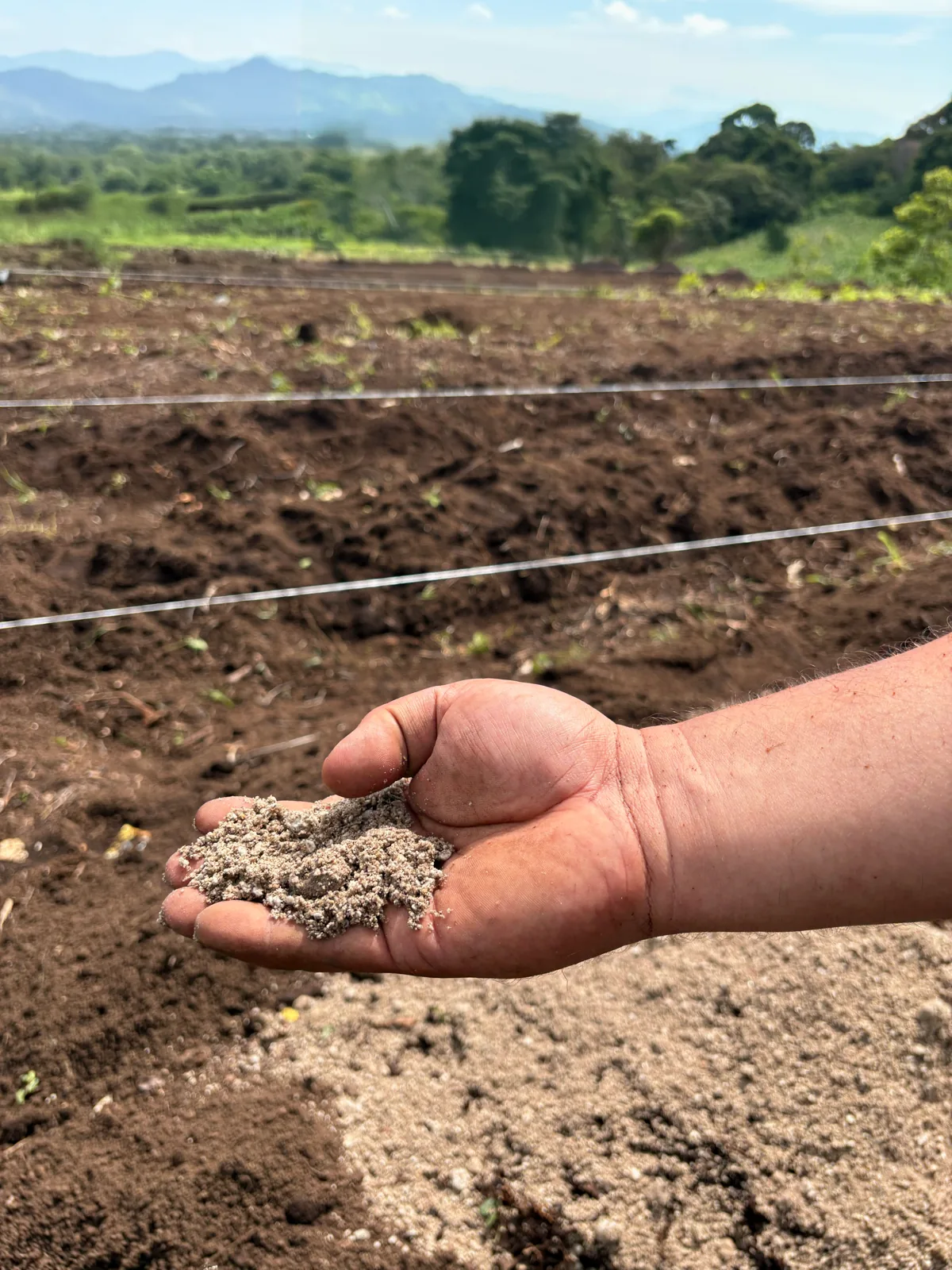 Una mano sostiene un puñado de sustrato claro sobre el terreno recién preparado, con montañas al fondo